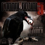CARNAL WAR v.s. OGONEK