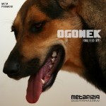 OGONEK - FINAL FEED (VIP) [METAPROMO01]